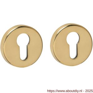 Intersteel 3410 cilinderrozetten verdekt diameter 53x9 mm PVD messingkleur - A26010901 - afbeelding 1