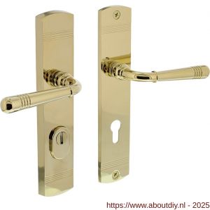 Intersteel Living 3777 achterdeurbeslag Helena 239x50 mm kruk-kruk profielcilindergat 72 mm met kerntrekbeveiliging PVD messingkleur - A26010203 - afbeelding 1