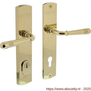 Intersteel Living 3777 achterdeurbeslag Helena 239x50 mm kruk-kruk profielcilindergat 92 mm met kerntrekbeveiliging PVD messingkleur - A26010204 - afbeelding 1