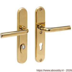 Intersteel 3787 SKG3 veiligheidsbeslag ovaal 250x50 mm kruk-kruk Luzern met veerconstructie profielcilindergat 72 mm met kerntrekbeveiliging PVD messingkleur - A26010898 - afbeelding 1