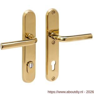 Intersteel 3787 SKG3 veiligheidsbeslag ovaal 250x50 mm kruk-kruk Luzern met veerconstructie profielcilindergat 92 mm met kerntrekbeveiliging PVD messingkleur - A26010897 - afbeelding 1