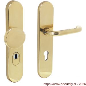 Intersteel Living 3820 SKG3 veiligheidsbeslag ovaal verdekt 252x54 mm greep-kruk Rond profielcilindergat 72 mm met kerntrekbeveiliging messing gelakt - A26003419 - afbeelding 1