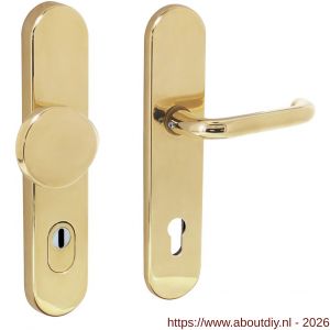 Intersteel Living 3820 SKG3 veiligheidsbeslag ovaal verdekt 252x54 mm greep-kruk Rond profielcilindergat 92 mm met kerntrekbeveiliging messing gelakt - A26003420 - afbeelding 1