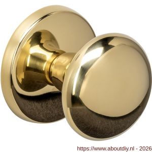 Intersteel 3930 voordeurknop Paddenstoel diameter 58 mm op achterplaat diameter 66 mm éénzijdige montage PVD messingkleur - A26010894 - afbeelding 1