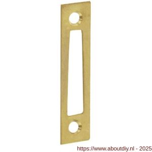 Intersteel 5615 sluitplaat vlak voor raamsluiting Dudok messing gelakt - A26003675 - afbeelding 1