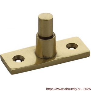 Intersteel 5615 stelpen messing gelakt - A26003862 - afbeelding 1