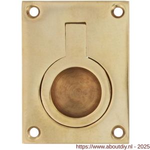 Intersteel Living 7526 luikring recht 41x31 mm messing gelakt - A26009606 - afbeelding 1
