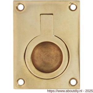 Intersteel Living 7526 luikring recht 50x39 mm messing gelakt - A26009607 - afbeelding 1