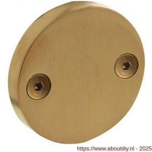 Intersteel 3175 afdekrozet diameter 55x8 mm PVD messing mat - A26011333 - afbeelding 1