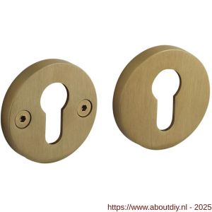 Intersteel 3175 cilinderrozetten éénzijdig verdekt diameter 55x8 mm met nokken diameter 8 mm PVD messing mat - A26011351 - afbeelding 1