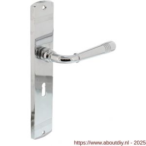 Intersteel Living 1705 deurkruk Helena op schild afgerond 235x45 mm sleutelgat 56 mm chroom - A26009081 - afbeelding 1