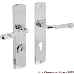 Intersteel Living 3777 achterdeurbeslag Helena 239x50 mm kruk-kruk profielcilindergat 72 mm met kerntrekbeveiliging chroom - A26010213 - afbeelding 1