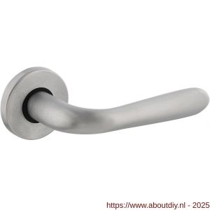 Intersteel Living 0195 deurkruk Jupiter op rozet verdekt diameter 49x7 mm chroom mat - A26000241 - afbeelding 1