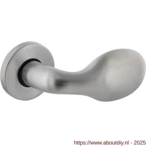 Intersteel 0263 deurkruk gatdeel rechts Druppel op rozet chroom mat - A26001135 - afbeelding 1