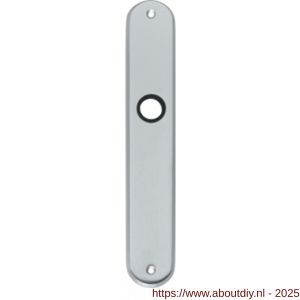 Intersteel 2530 langschild ovaal 236x37x9 mm profielcilindergat 55 mm chroom mat - A26003226 - afbeelding 1