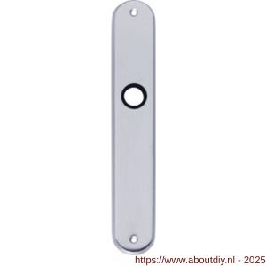 Intersteel 2530 langschild ovaal 236x37x9 mm blind WC78/8 chroom mat - A26005055 - afbeelding 1