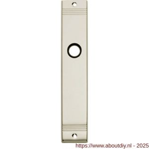Intersteel 2571 langschild rechthoekig met groef 235x43x6 mm profielcilindergat 72 mm nikkel - A26002993 - afbeelding 1