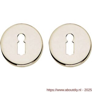 Intersteel Living 3186 sleutelrozetten verdekt diameter 49x7 mm nikkel - A26011127 - afbeelding 1