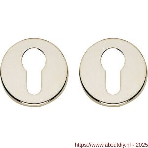 Intersteel Living 3186 cilinderrozetten verdekt diameter 49x7 mm nikkel - A26011128 - afbeelding 1