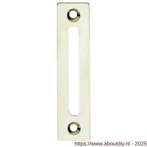 Intersteel 3700 sluitplaat vlak voor WC-overslag Vrij-Bezet nikkel - A26007538 - afbeelding 1