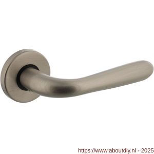 Intersteel Living 0195 deurkruk Jupiter op rozet verdekt diameter 49x7 mm nikkel mat - A26007326 - afbeelding 1