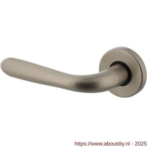 Intersteel 0195 deurkruk gatdeel links Jupiter op rozet verdekt diameter 49x7 mm nikkel mat - A26001186 - afbeelding 1