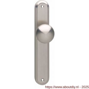 Intersteel 2126 knopschild ovaal 242x43x10 mm met vaste knop Paddenstoel en wisselstift M10-8x89 mm blind nikkel mat - A26005174 - afbeelding 1