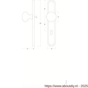 Intersteel 2126 knopschild ovaal 242x43x10 mm met vaste knop Paddenstoel en wisselstift M10-8x89 mm sleutelgat 56 mm nikkel mat - A26005175 - afbeelding 2