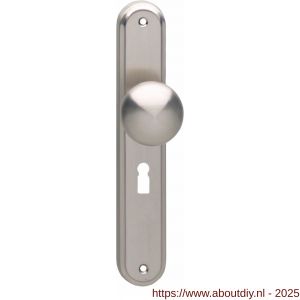 Intersteel 2126 knopschild ovaal 242x43x10 mm met vaste knop Paddenstoel en wisselstift M10-8x89 mm sleutelgat 56 mm nikkel mat - A26005175 - afbeelding 1