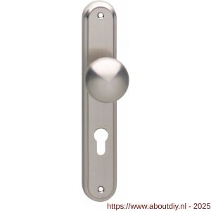 Intersteel 2126 knopschild ovaal 242x43x10 mm met vaste knop Paddenstoel en wisselstift M10-8x89 mm profielcilindergat 72 mm nikkel mat - A26005176 - afbeelding 1