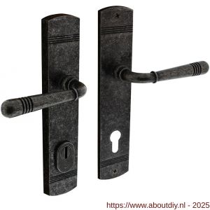 Intersteel 3777 achterdeurbeslag Helena 239x50 mm kruk-kruk profielcilindergat 92 mm met kerntrekbeveiliging oud grijs - A26010234 - afbeelding 1