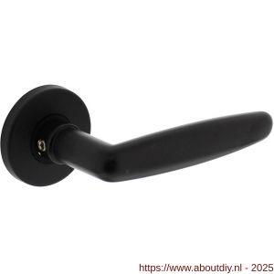 Intersteel Living 0225 deurkruk Sophie met rozet verdekt diameter 49x7 mm zwart - A26008184 - afbeelding 1