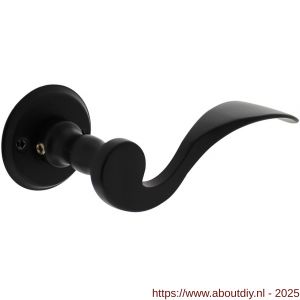 Intersteel Living 0292 deurkruk Lepel met rozet diameter 50x5 mm zwart - A26008188 - afbeelding 1