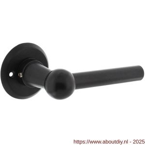 Intersteel Living 0446 deurkruk L/L bol met rozet diameter 50x5 mm zwart - A26010242 - afbeelding 1