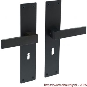 Intersteel Living 0571 deurkruk Amsterdam met schild rechthoekig 250x55x2 mm sleutelgat 56 mm structuur zwart - A26008201 - afbeelding 1