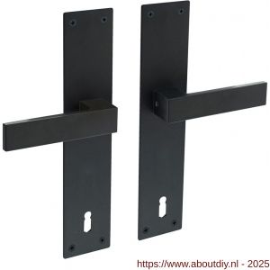 Intersteel 0571 deurkruk Amsterdam met schild rechthoekig 250x55x2 mm sleutelgat 110 mm structuur zwart - A26009152 - afbeelding 1