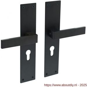 Intersteel Living 0571 deurkruk Amsterdam met schild rechthoekig 250x55x2 mm profielcilindergat 55 mm structuur zwart - A26008203 - afbeelding 1