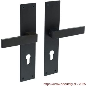 Intersteel 0571 deurkruk Amsterdam met schild rechthoekig 250x55x2 mm profielcilindergat 72 mm structuur zwart - A26008204 - afbeelding 1