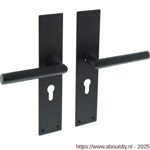 Intersteel Living 0583 deurkruk Jura met schild rechthoekig 250x55x2 mm profielcilindergat 55 mm structuur zwart - A26008210 - afbeelding 1
