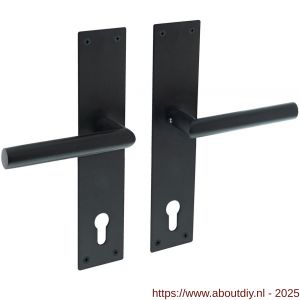 Intersteel 0583 deurkruk Jura met schild rechthoekig 250x55x2 mm profielcilindergat 110 mm structuur zwart - A26009155 - afbeelding 1