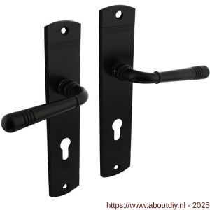 Intersteel 1705 deurkruk Helena op schild afgerond 235x45 mm profielcilindergat 72 mm zwart - A26010789 - afbeelding 1