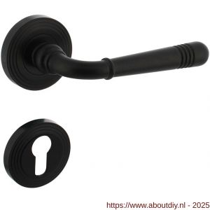 Intersteel 1725 deurkruk Helena op rozet verdekt met rillen diameter 55x10 mm met nokken en cilinderrozetten zwart - A26010795 - afbeelding 1