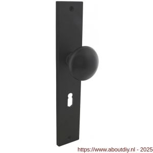 Intersteel Living 2128 knopschild rechthoekig 245x45x8 mm met vaste knop Paddenstoel en wisselstift sleutelgat 56 mm zwart - A26010316 - afbeelding 1