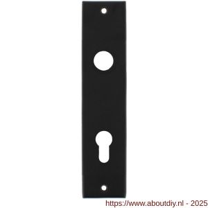 Intersteel 2568 kortschild rechthoekig 181x41x7 mm profielcilindergat 72 mm zwart - A26006766 - afbeelding 1