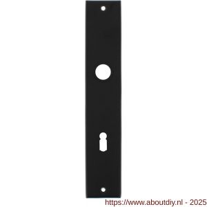 Intersteel 2577 langschild rechthoekig 236x44x6 mm sleutelgat 72 mm mat zwart - A26006773 - afbeelding 1