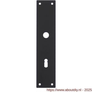 Intersteel 2688 schild renovatie rechthoekig 250x55x2 mm sleutelgat 72 mm RVS mat zwart - A26006782 - afbeelding 1