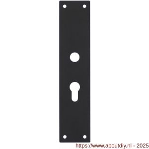 Intersteel 2688 schild renovatie rechthoekig 250x55x2 mm PC55 mm RVS mat zwart - A26007027 - afbeelding 1