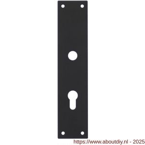 Intersteel 2688 schild renovatie rechthoekig 250x55x2 mm profielcilindergat 72 mm RVS-mat zwart - A26006783 - afbeelding 1