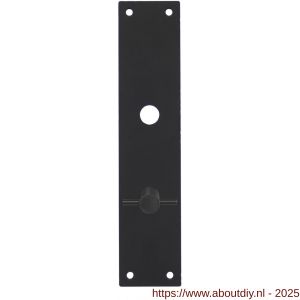 Intersteel 2688 schild renovatie rechthoekig 250x55x2 mm WC 63/8 mm RVS-mat zwart - A26008263 - afbeelding 1