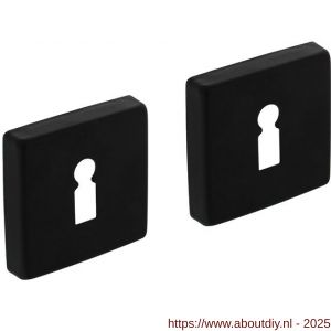 Intersteel Living 3093 sleutelrozetten verdekt 50x50x10 mm met nokken zwart - A26011139 - afbeelding 1